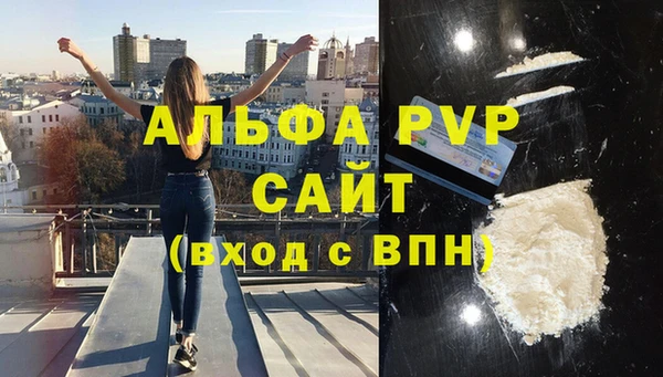 ПСИЛОЦИБИНОВЫЕ ГРИБЫ Белокуриха