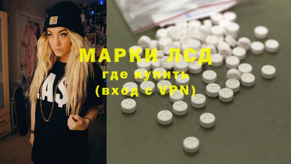 ПСИЛОЦИБИНОВЫЕ ГРИБЫ Белокуриха