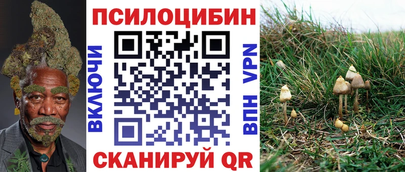 Псилоцибиновые грибы GOLDEN TEACHER  ссылка на мегу сайт  даркнет клад  Котовск 